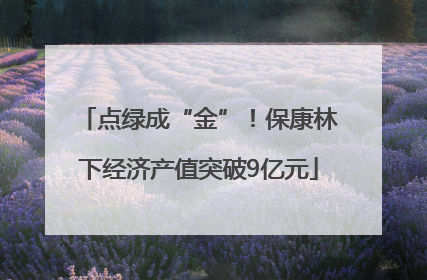 点绿成“金”！保康林下经济产值突破9亿元