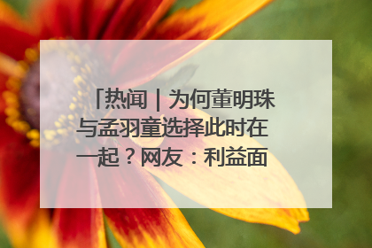 热闻｜为何董明珠与孟羽童选择此时在一起？网友：利益面前啥都能和解