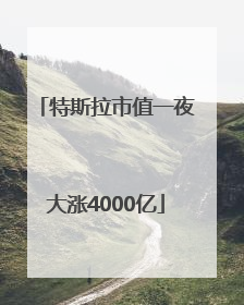 特斯拉市值一夜大涨4000亿