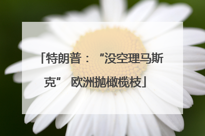 特朗普：“没空理马斯克” 欧洲抛橄榄枝