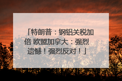 特朗普：钢铝关税加倍 欧盟加拿大：强烈遗憾！强烈反对！