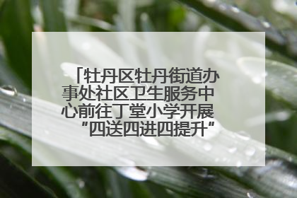 牡丹区牡丹街道办事处社区卫生服务中心前往丁堂小学开展“四送四进四提升”及无烟日宣传活动