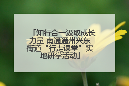 知行合一汲取成长力量 南通通州兴东街道“行走课堂”实地研学活动