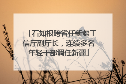 石如根跨省任新疆工信厅副厅长，连续多名年轻干部调任新疆