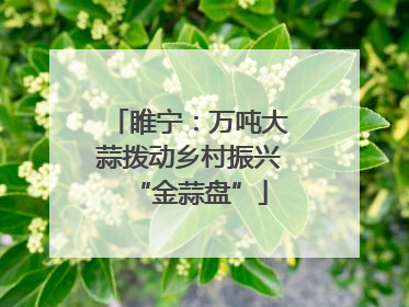 睢宁：万吨大蒜拨动乡村振兴“金蒜盘”