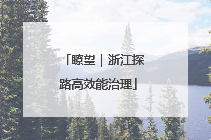 瞭望｜浙江探路高效能治理