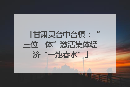甘肃灵台中台镇：“三位一体”激活集体经济“一池春水”