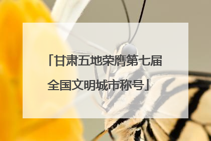 甘肃五地荣膺第七届全国文明城市称号
