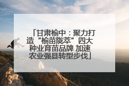 甘肃榆中：聚力打造“榆苗陇萃”四大种业育苗品牌 加速农业强县转型步伐