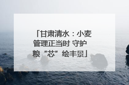 甘肃清水：小麦管理正当时 守护粮“芯”绘丰景