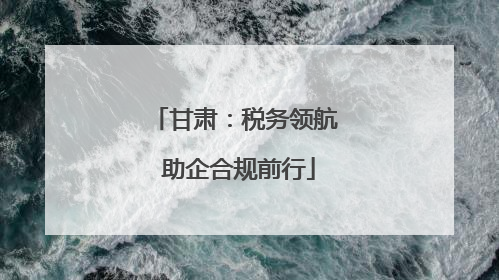 甘肃：税务领航 助企合规前行