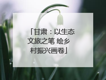 甘肃：以生态文旅之笔 绘乡村振兴画卷