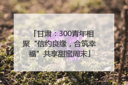 甘肃：300青年相聚“信约良缘，合筑幸福”共享甜蜜周末