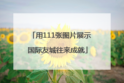 用111张图片展示国际友城往来成就