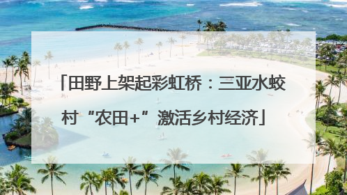 田野上架起彩虹桥：三亚水蛟村“农田+”激活乡村经济