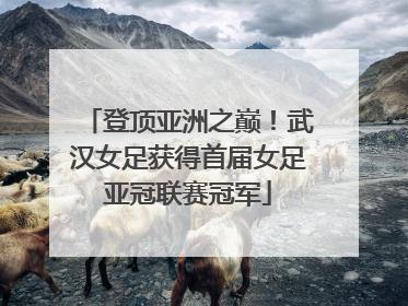 登顶亚洲之巅！武汉女足获得首届女足亚冠联赛冠军