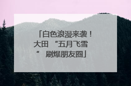 白色浪漫来袭！大田 “五月飞雪” 刷爆朋友圈