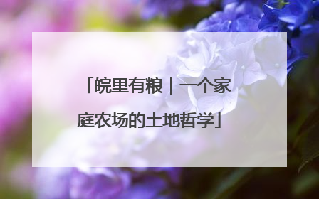 皖里有粮｜一个家庭农场的土地哲学