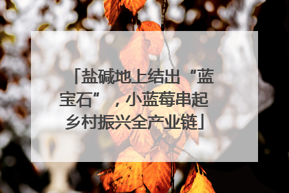 盐碱地上结出“蓝宝石”，小蓝莓串起乡村振兴全产业链