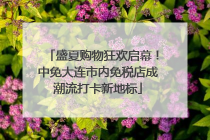 盛夏购物狂欢启幕！中免大连市内免税店成潮流打卡新地标
