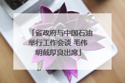 省政府与中国石油举行工作会谈 毛伟明戴厚良出席