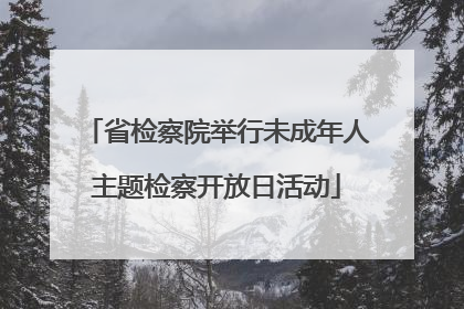 省检察院举行未成年人主题检察开放日活动