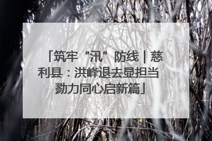 筑牢“汛”防线｜慈利县：洪峰退去显担当 勠力同心启新篇