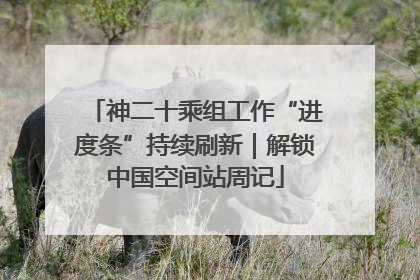 神二十乘组工作“进度条”持续刷新｜解锁中国空间站周记