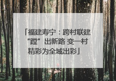 福建寿宁：跨村联建“蹚”出新路 变一村精彩为全域出彩