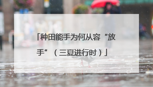 种田能手为何从容“放手”（三夏进行时）