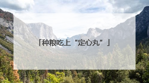 种粮吃上“定心丸”