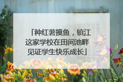 种红薯摸鱼，镇江这家学校在田间池畔见证学生快乐成长
