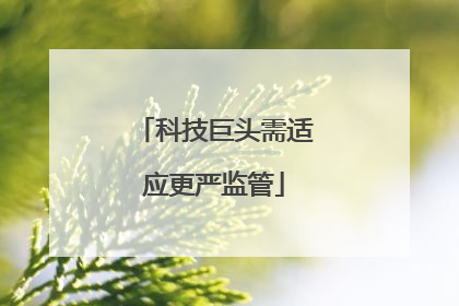科技巨头需适应更严监管