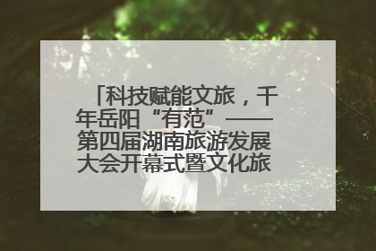 科技赋能文旅，千年岳阳“有范”——第四届湖南旅游发展大会开幕式暨文化旅游推介会侧记