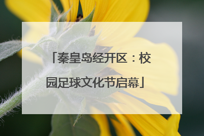 秦皇岛经开区：校园足球文化节启幕