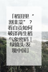 稻田里“割韭菜”？看自贡如何破译再生稻气象密码｜绿镜头·发现中国