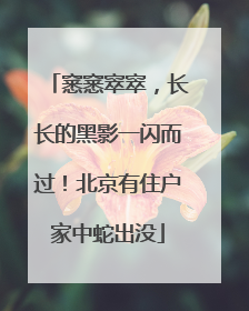 窸窸窣窣，长长的黑影一闪而过！北京有住户家中蛇出没