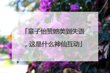 章子怡赞她美到失语，这是什么神仙互动