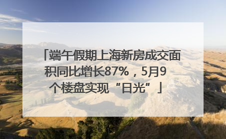 端午假期上海新房成交面积同比增长87%，5月9个楼盘实现“日光”