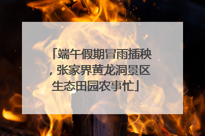 端午假期冒雨插秧，张家界黄龙洞景区生态田园农事忙
