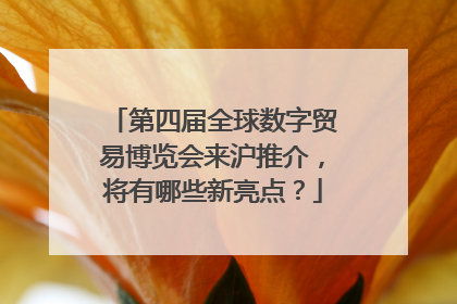 第四届全球数字贸易博览会来沪推介，将有哪些新亮点？
