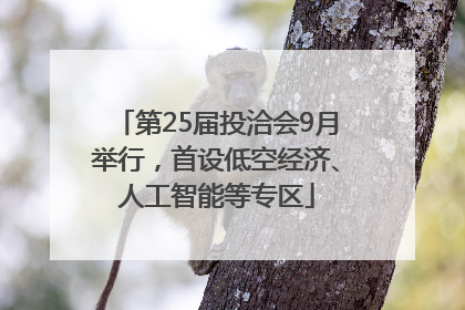 第25届投洽会9月举行，首设低空经济、人工智能等专区