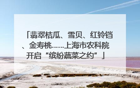 翡翠桔瓜、雪贝、红铃铛、金寿桃……上海市农科院开启“缤纷蔬菜之约”