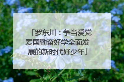 罗东川：争当爱党爱国勤奋好学全面发展的新时代好少年