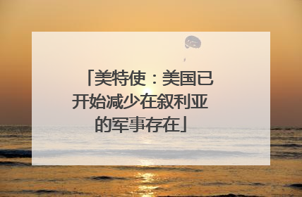 美特使：美国已开始减少在叙利亚的军事存在