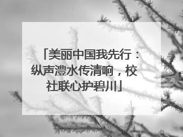 美丽中国我先行：纵声澧水传清响，校社联心护碧川
