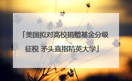 美国拟对高校捐赠基金分级征税 矛头直指精英大学