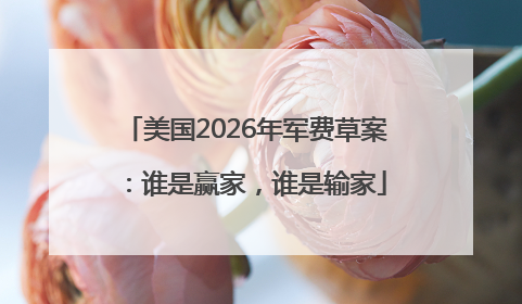 美国2026年军费草案：谁是赢家，谁是输家
