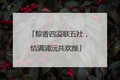 粽香四溢联五社，情满浦沅共欢颜