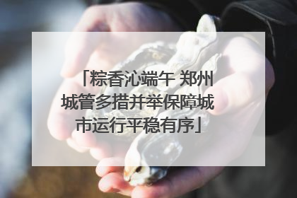 粽香沁端午 郑州城管多措并举保障城市运行平稳有序